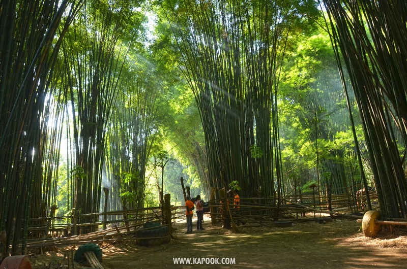 เที่ยวเชียงราย