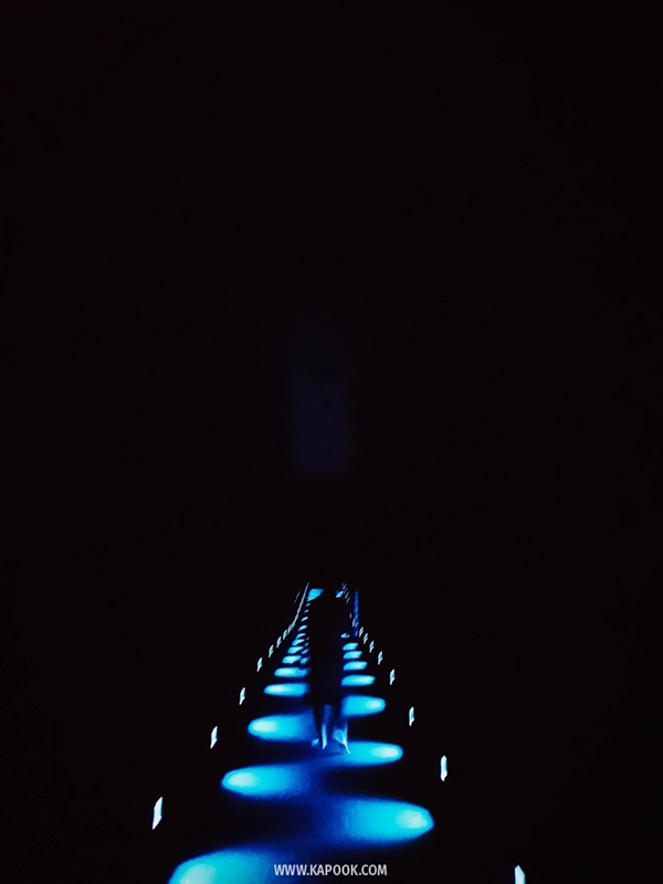 teamLab Planets TOKYO ที่เที่ยวญี่ปุ่น