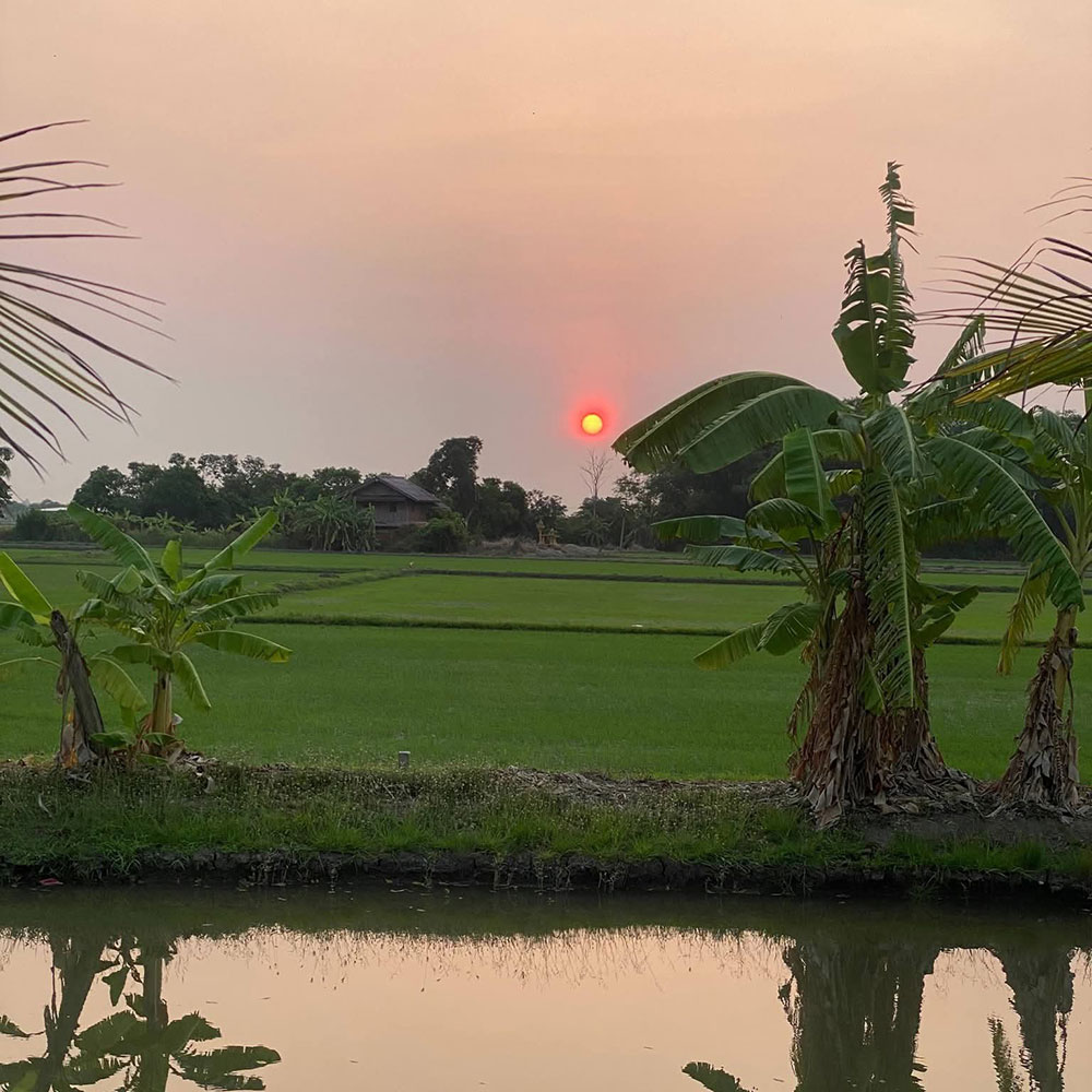 บ้าน แดนนี่ ศรีภิญโญ