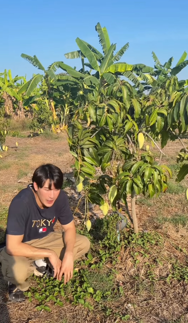 เคน ภูภูมิ