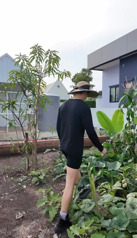 ส่องบ้านสวน พุฒ-จุ๋ย กับผลผลิตงอกงาม