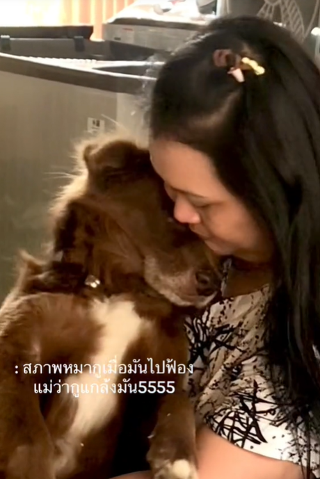 เล่นกับหมา