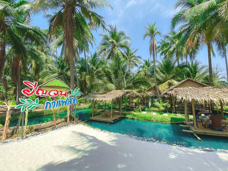 คาเฟ่ในสวนมะพร้าว