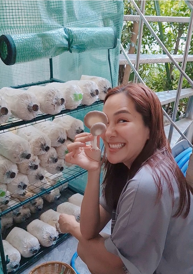 จอย รินลณี 