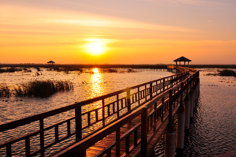 ที่เที่ยว Google Trend