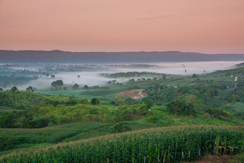 ที่เที่ยวเดือนธันวาคม 2568 อำเภอวังน้ำเขียว