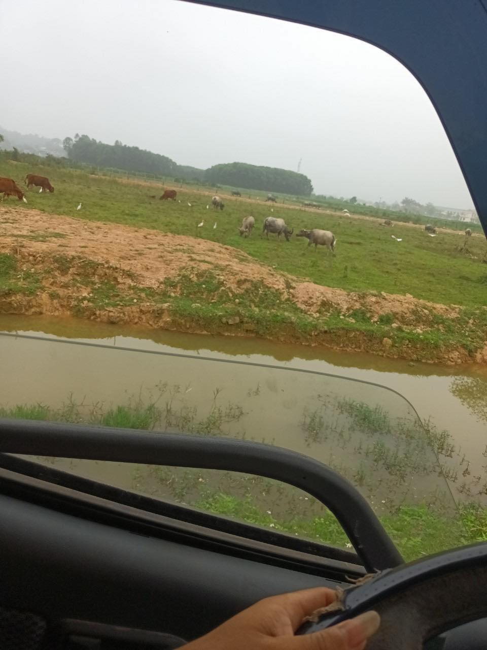 เล่นไพ่