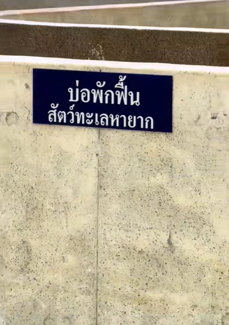 สัตว์หายาก