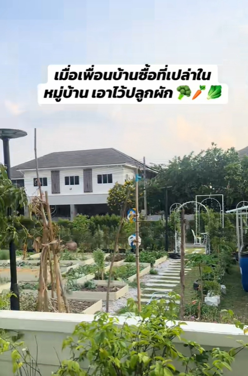 เพื่อนบ้าน