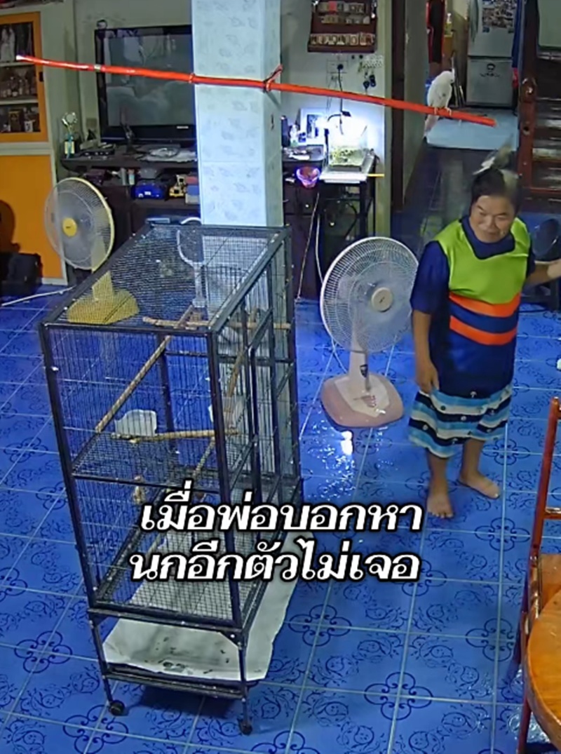 ตามหานก