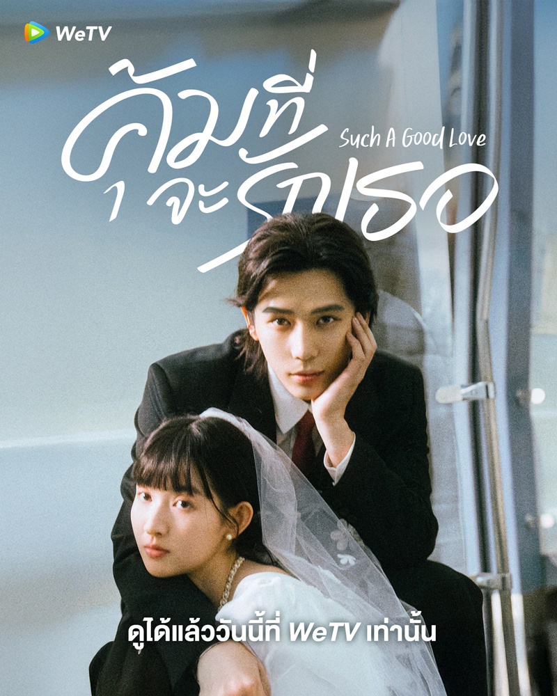 คุ้มที่จะรักเธอ Such A Good Love หวังอันอวี่ หวังอวี้เหวิน