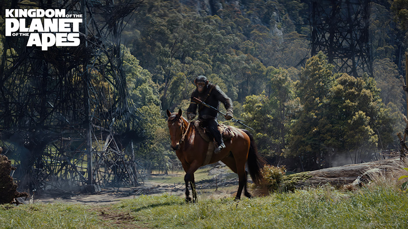 หนัง kingdom of the planet of the apes อาณาจักรแห่งพิภพวานร