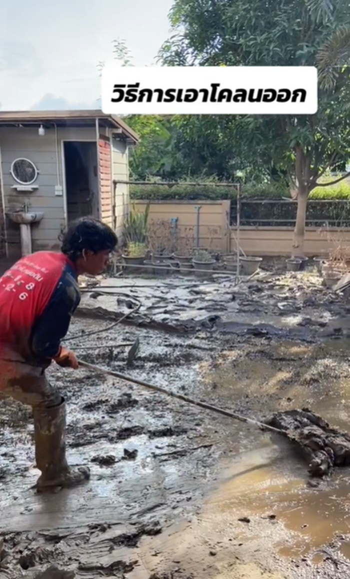 ฟื้นฟูเชียงราย