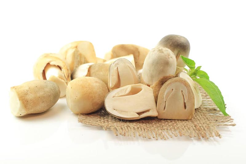 ผักที่มีธาตุเหล็กสูง