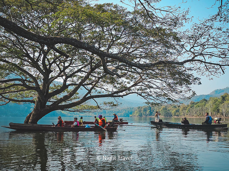 ล่องเรือชมต้นฉำฉา ที่เที่ยวเชียงใหม่