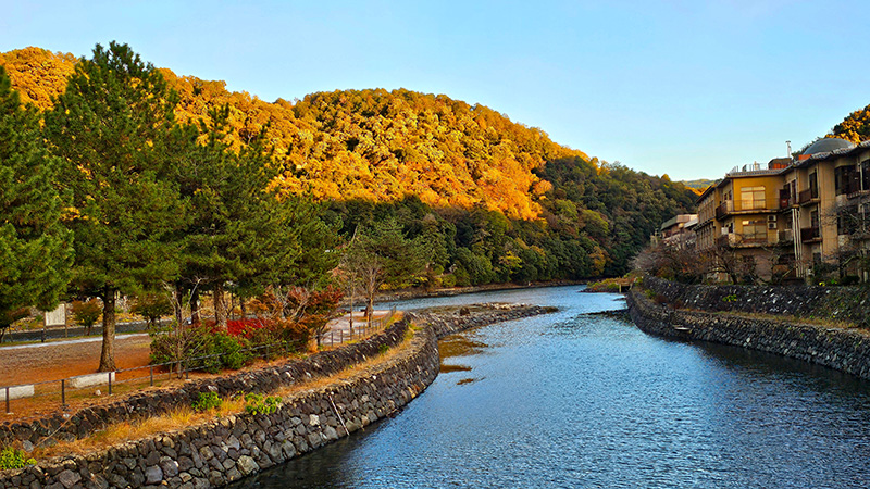 เมืองอุจิ Uji ญี่ปุ่น