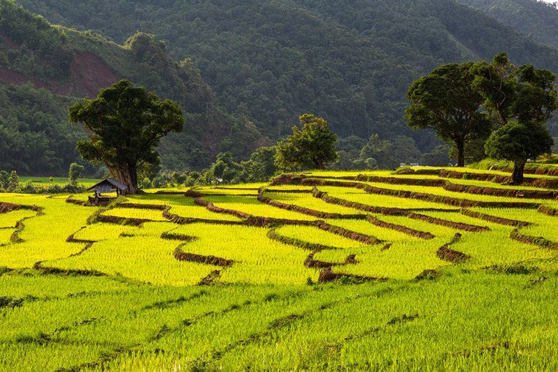 ที่เที่ยวเดือนตุลาคม