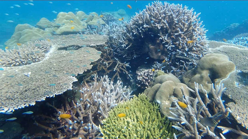 หมู่เกาะสุรินทร์ จังหวัดพังงา