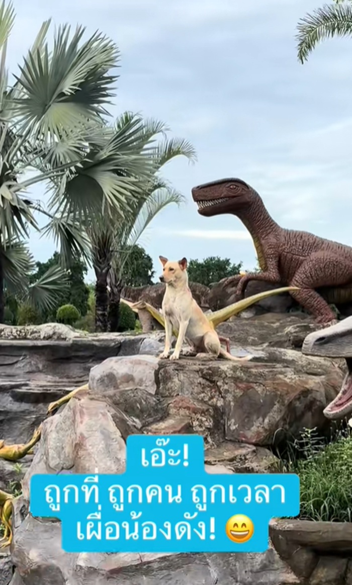 ไดโนเสาร์