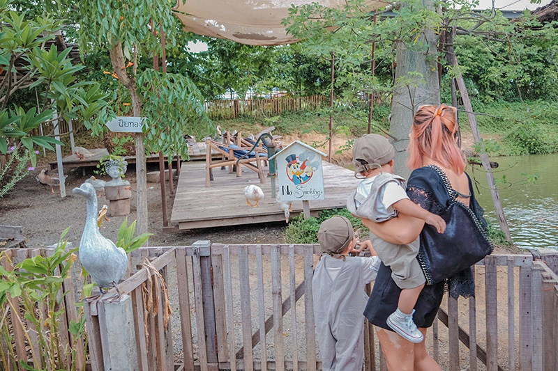 The Ugly Duckling Learning Farm