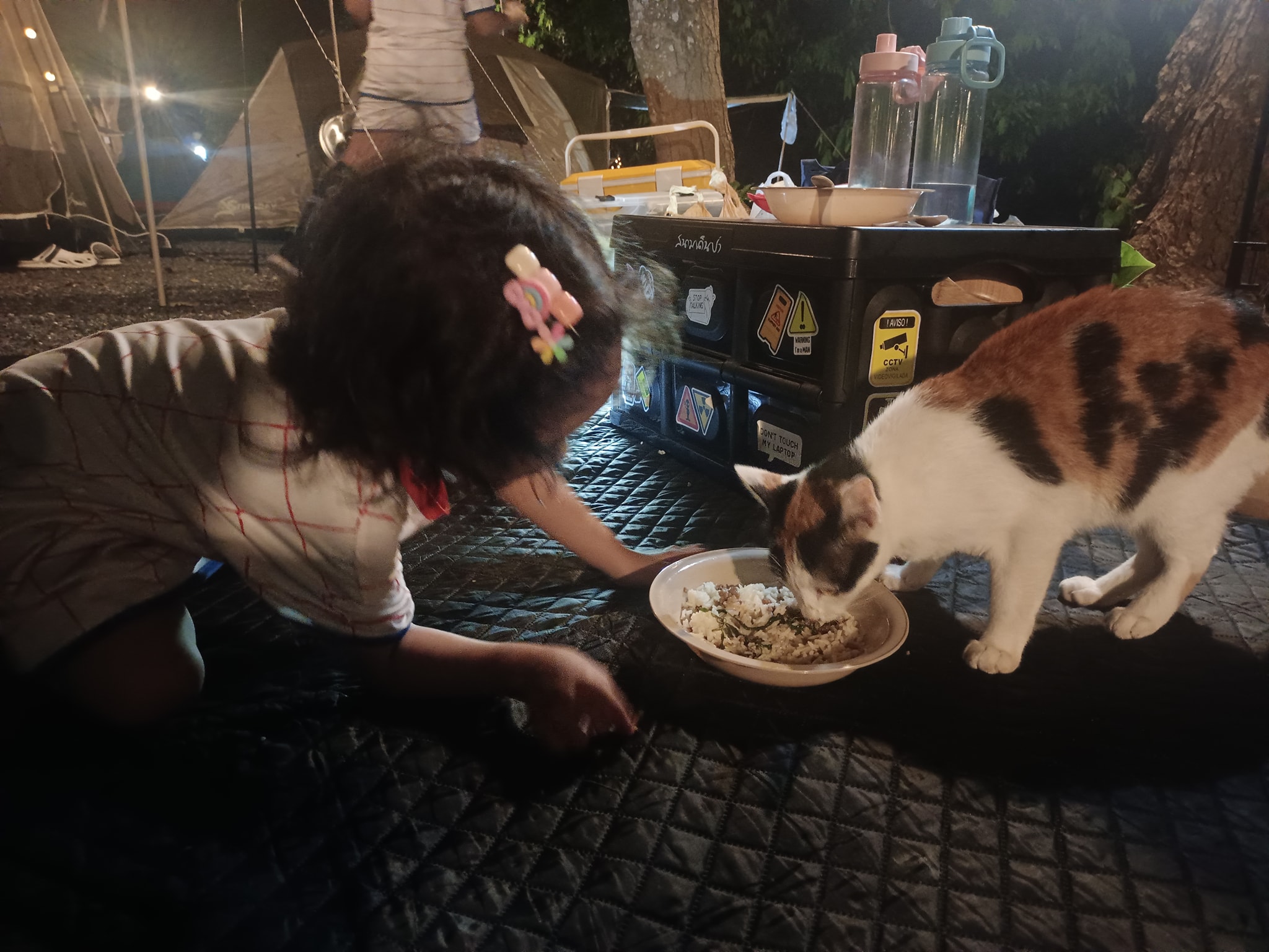 กางเต็นท์