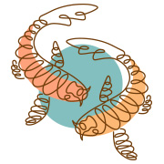 ดูดวงปี 2569