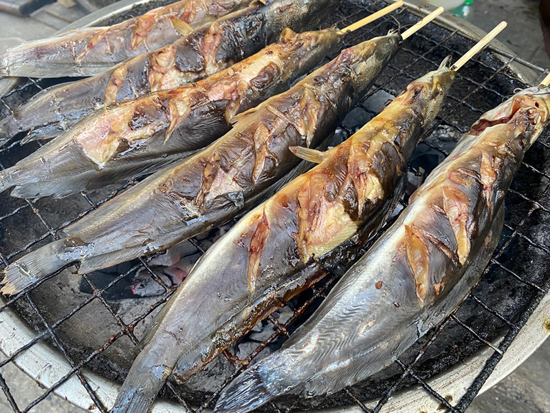 สูตรหมักปลาดุกย่าง