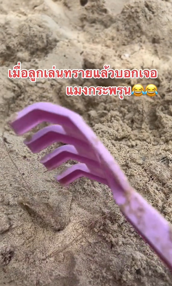 เล่นทราย