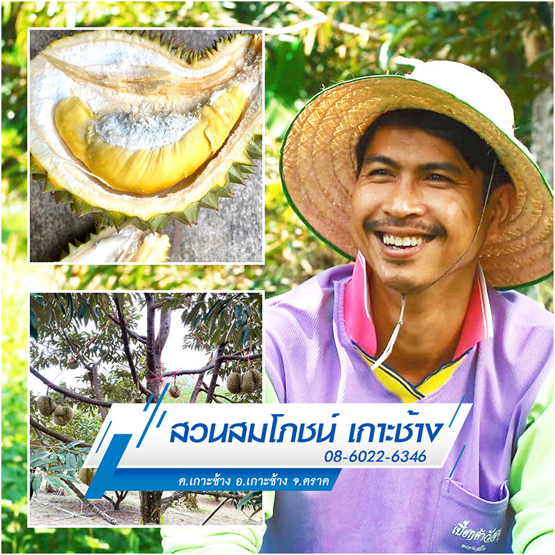 สวนผลไม้ตราด 2565