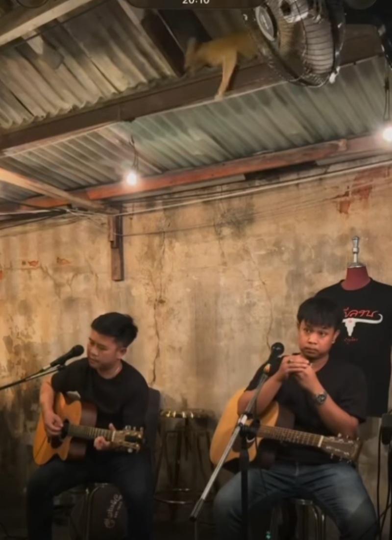 นักดนตรี