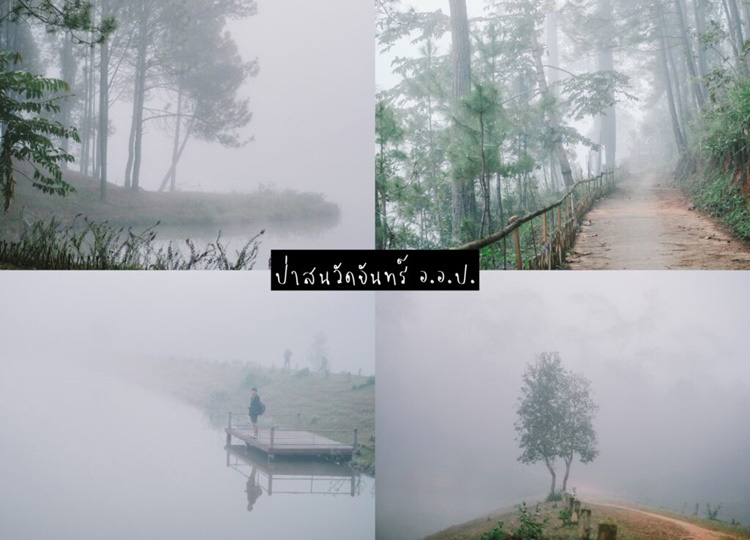 เที่ยวเชียวใหม่