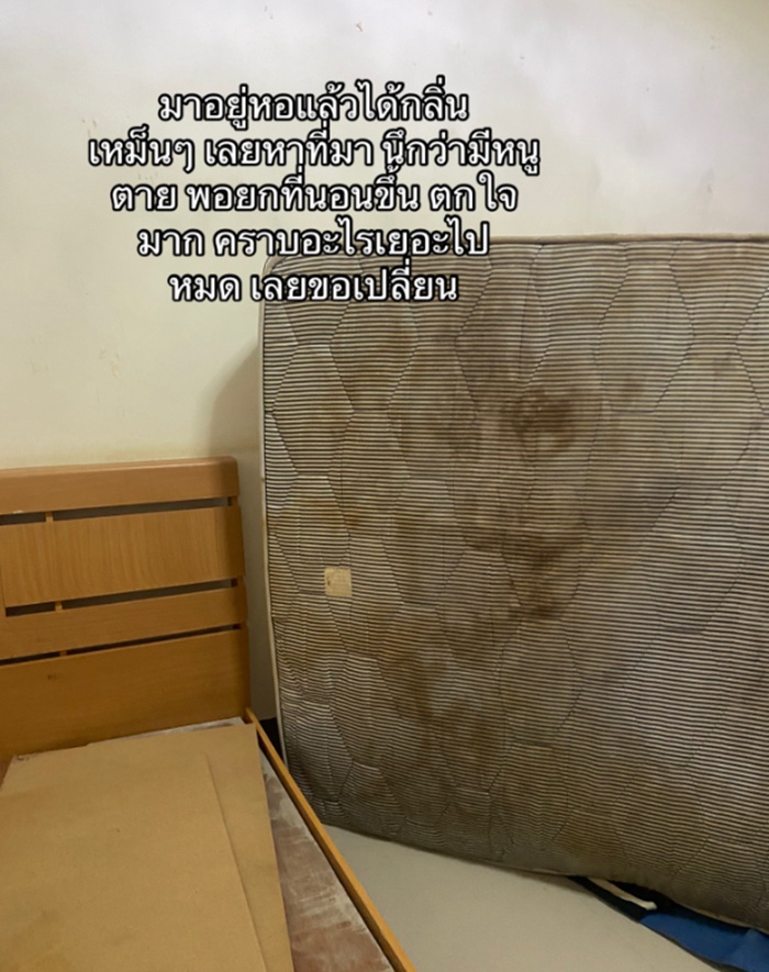 กลิ่นเหม็น