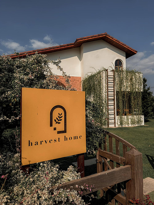 Harvest Home