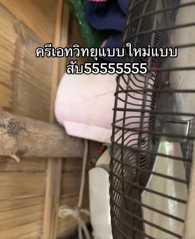 เปิดพัดลม