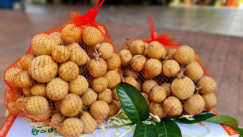 สวนลองกอง 