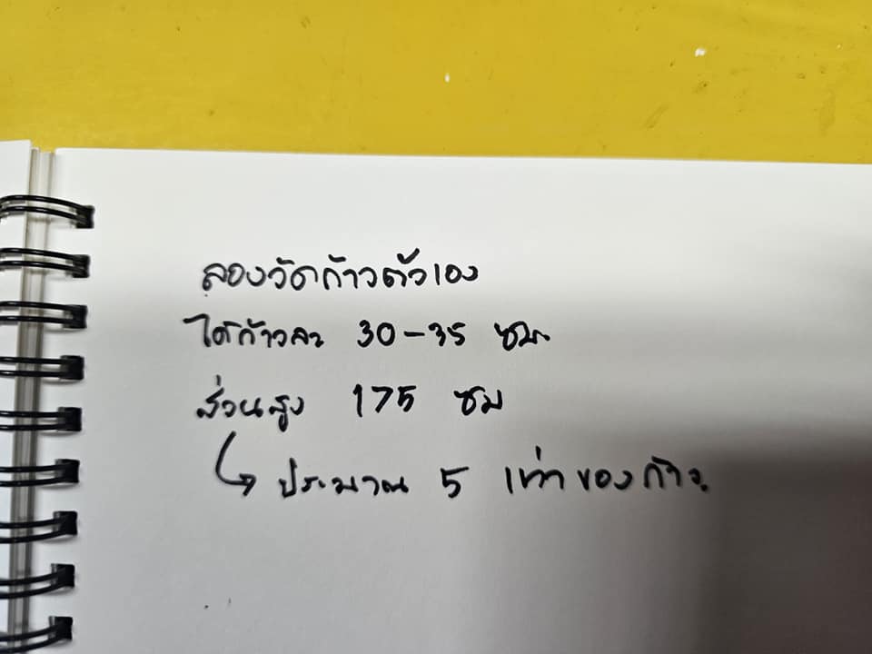 ผีเสื้อสมุทร