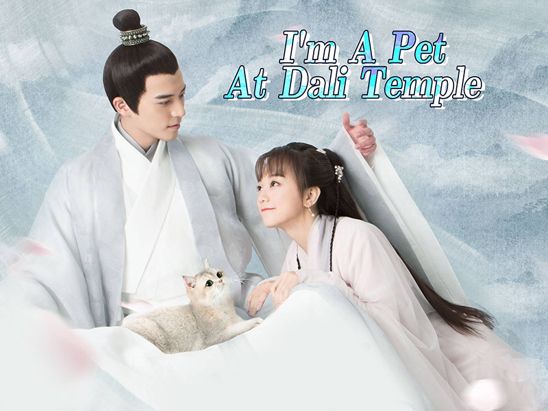 ฉันเป็นสัตว์เลี้ยงของศาลต้าหลี่ I'm a pet at Dali Temple