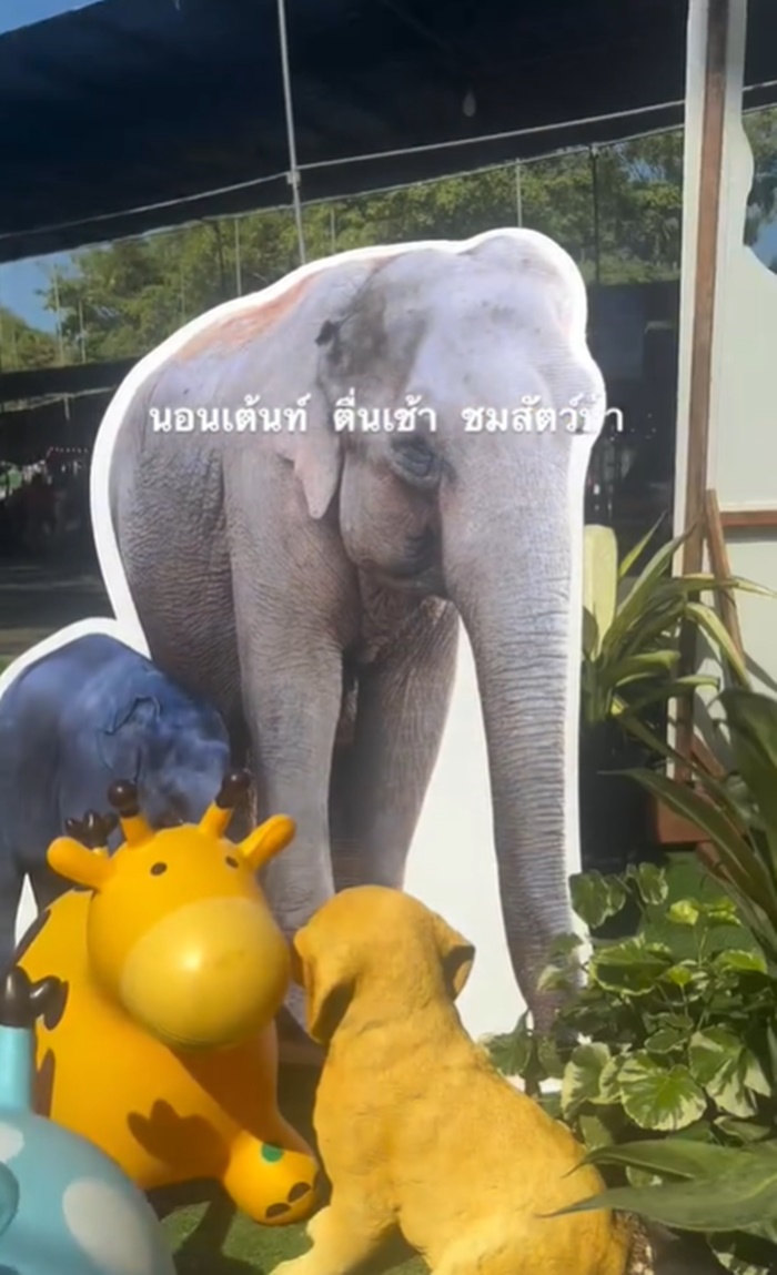 กางเต็นท์