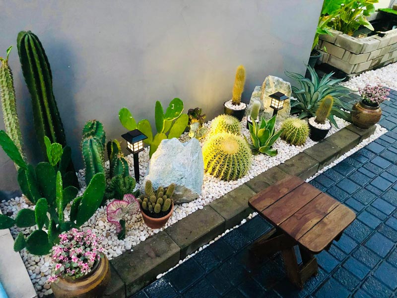 จัดสวนข้างบ้าน