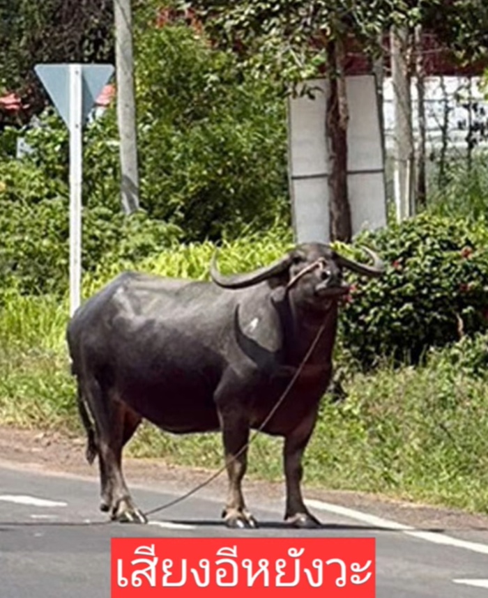 ยิงจรวด