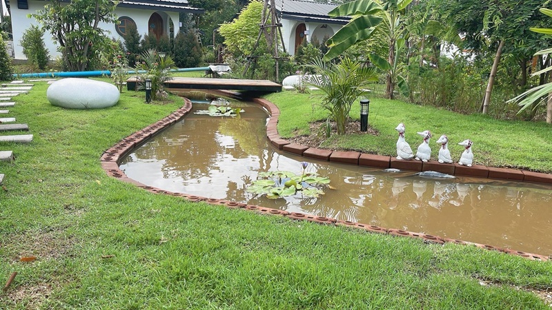 แปลงผัก