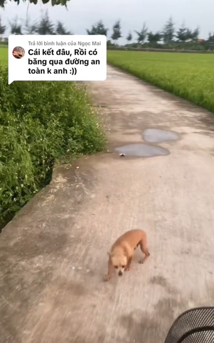 ปั่นจักรยาน