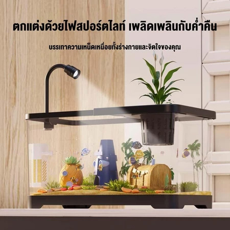 YINGERJIAN ตู้ปลาไมโครแลนด์สเคป