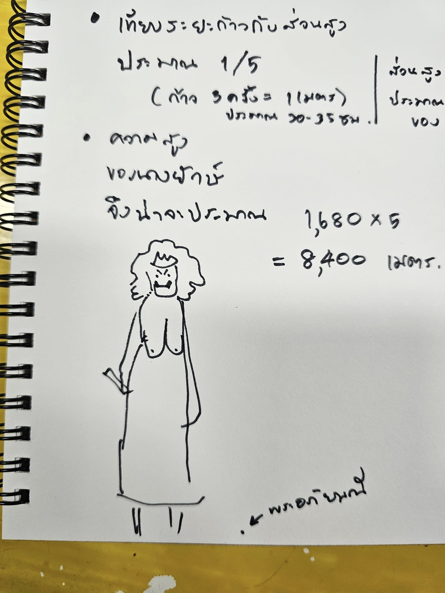 ผีเสื้อสมุทร