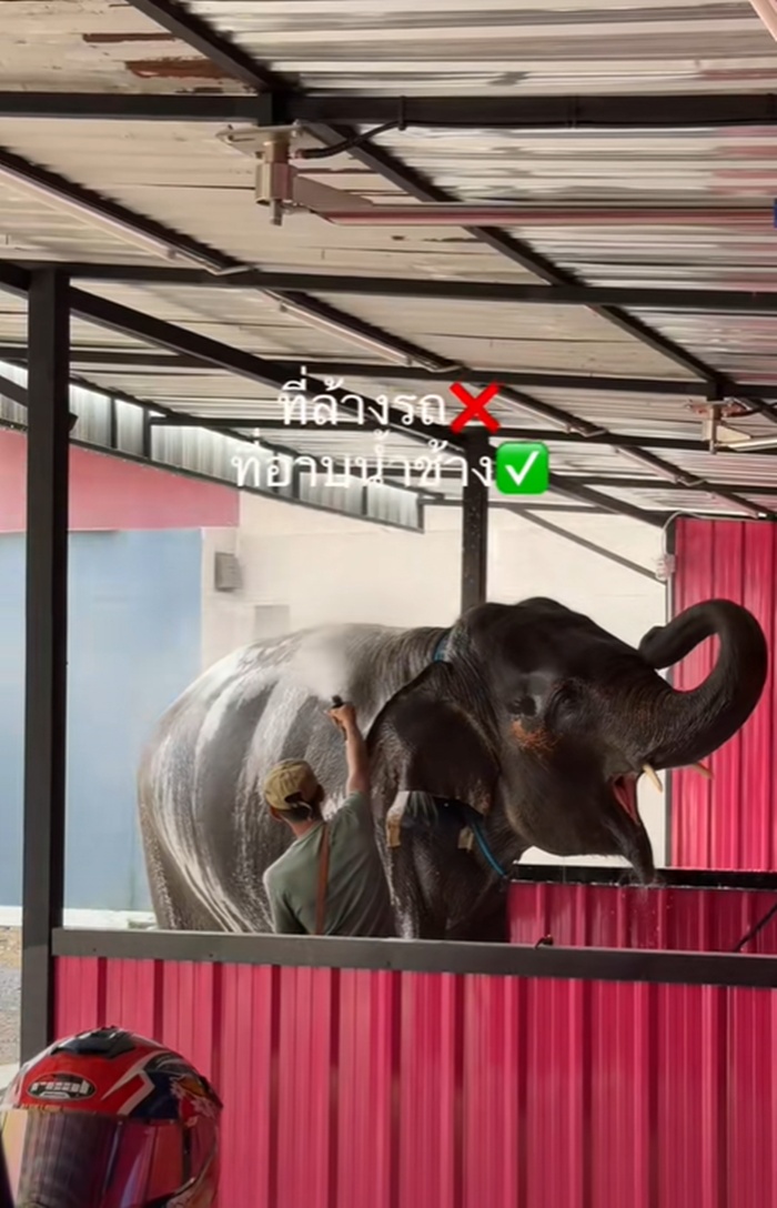 อาบน้ำช้าง