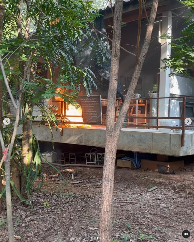 ปาน ธนพร