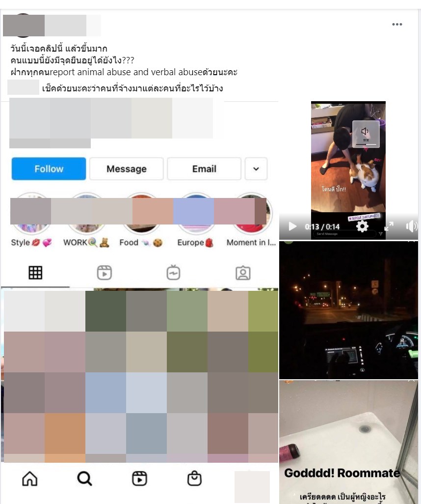 ทารุณสัตว์