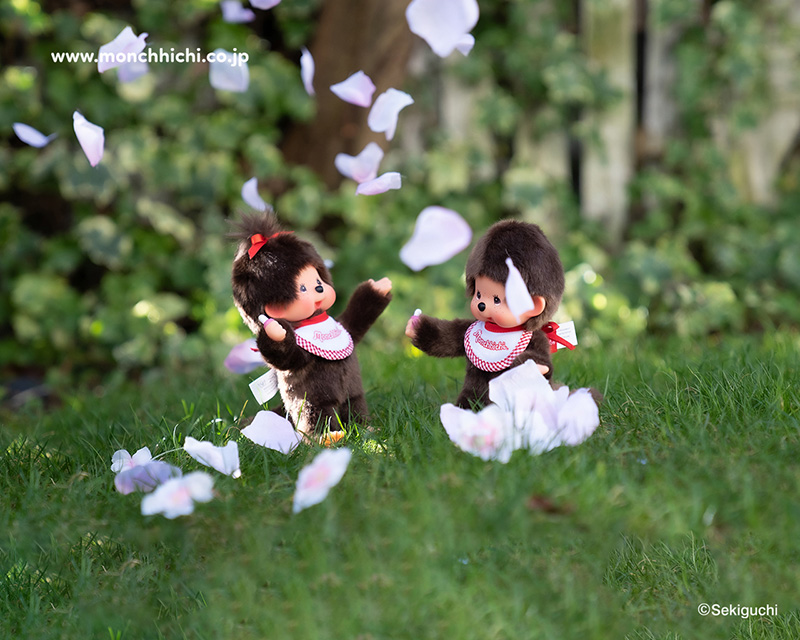 มอนชิชิ