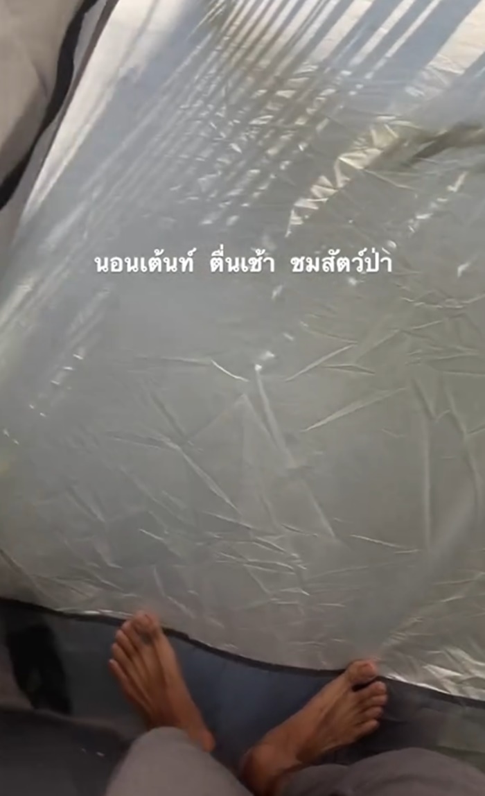 กางเต็นท์