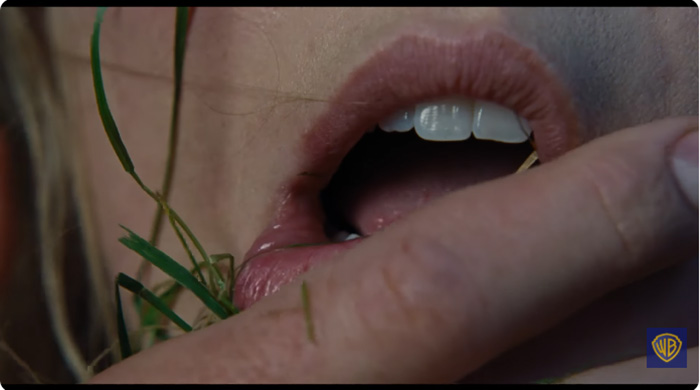 Wuthering Heights หนังใหม่ 2026 จาก Warner Bros. Pictures ภาพตัวอย่าง